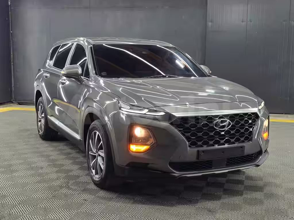 hyundai SantaFe TM